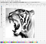 Tiger Canvas | DXF File | Art，Gift,Portrait