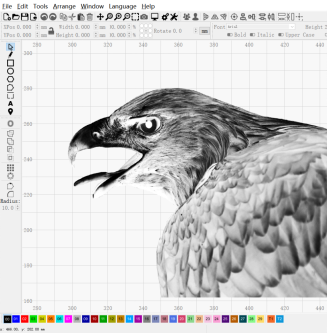 Eagle Engraving | DXF, JPG Files | Art, Gift, Portrait - NEJE.SHOP