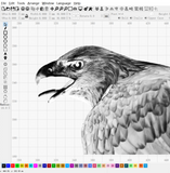 Eagle Engraving | DXF, JPG Files | Art, Gift, Portrait